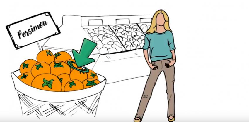 persimon explainer